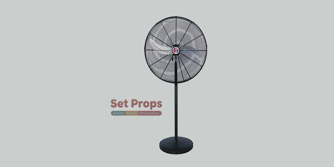 Pedestal/Standing Fan